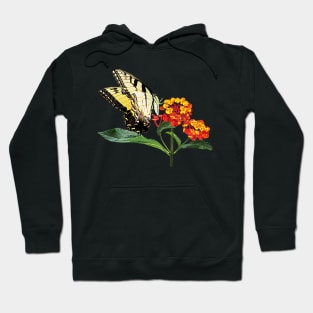 Tiger Swallowtail on Lantanas Hoodie